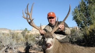 Huge Unique Mule Deer on the Paunsaugunt  MossBack [upl. by Ahsimet941]