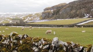 Yorkshire Dales Country Walk  Upper Wharfedale  KettlewellArncliffeLittondale round [upl. by Ellimaj135]