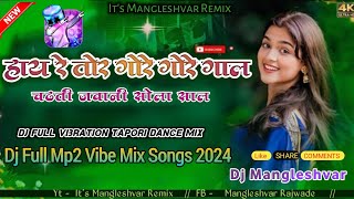 Hay Re Tor Gore Gore Gaal Chadti Jawani 16 Saal Dj Full Mp2 Vibe Tapori Mix 2024 [upl. by Randy]