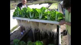 Indoor Aquaponics Systems DoItYourself Training  Aquaponics4u [upl. by Bevvy714]