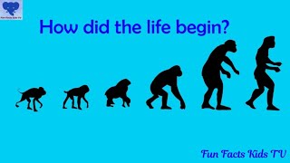 How did life begin and evolve   Evolution for kids  Human Evolution [upl. by Eidnahs]