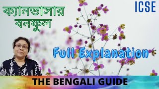 Canvasar ক্যানভাসার  ICSE  Detailed Explanation [upl. by Aneeles]