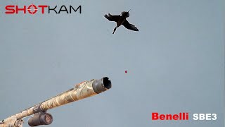 2018 Duck Season ShotKam clips  Benelli SBE3 [upl. by Lexie]