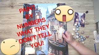 WHAT THEY DON’T TELL YOU  Paint By Numbers Review [upl. by Hurlbut]