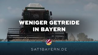 Ackerland in Bayern Weniger Getreide für Körnergewinnung [upl. by Retsim]