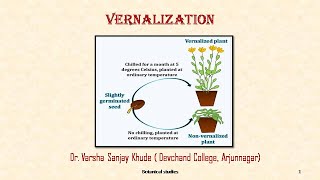 Vernalization  Dr Varsha S Khude  Botanical Studies [upl. by Earvin154]