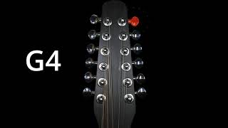 Tune Your 12 String Guitar Easy Way [upl. by Assehc138]