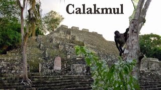 Calakmul ruins Campeche Mexico [upl. by Dodds262]