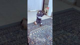 Monkey Breaks It Down Better Than Humans 🐒🔥 Epic Dance Skills [upl. by Nylrem580]