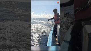 Back to Back King Fish Caught Using a Fishing Lure as Bait fishing oceanfishing seafishing [upl. by Dupre]