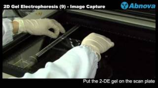 2D Gel Electrophoresis 9 Image Capture  Laser Scanner [upl. by Velick]