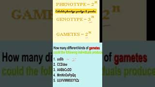 Calculate Phenotype Genotype amp gametes within 10 secondsLife sciences [upl. by Janine487]