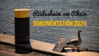 Rüdesheim am Rhein [upl. by Nagoh756]