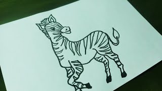 Zebra 🦓  Zebra drawing  simple way to draw a zebra  Zebra art  black and white Zebra drawing [upl. by Ailuj]