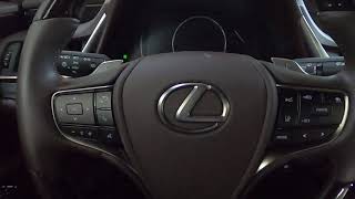 2020 Lexus ES350 Maintenance Light Reset [upl. by Atile]