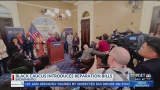 Black caucus introduces reparation bills [upl. by Aem]