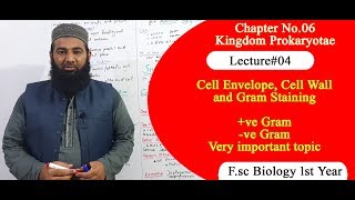 Biology Ch06Lecture04 Cell envelope and gram staining FSc 1st Year [upl. by Henigman571]