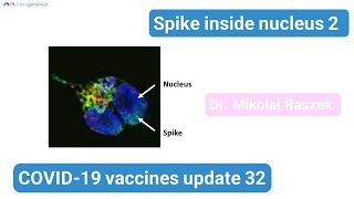 Spike protein in nucleus quotNEWSquot  COVID19 vaccines update 32 [upl. by Diaz]