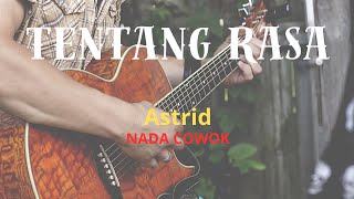 Tentang rasa  Astrid  Akustik Karaoke Nada Cowok  Male [upl. by Airdnaxila269]