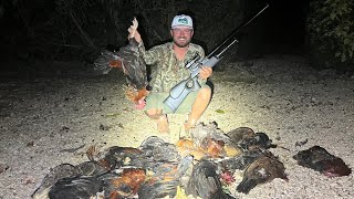 Hunting Wild CHICKENS With Airguns [upl. by Goebel]