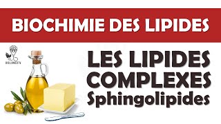 Biochimie des Lipides Complexes  Introduction aux Sphingolipides [upl. by Sackville]