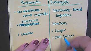 Notes  Prokaryotes vs Eukaryotes [upl. by Oinafipe]