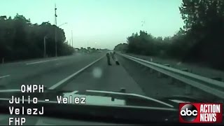 Trooper Assists Injured Eagle on Floridas Turnpike [upl. by Eehc17]