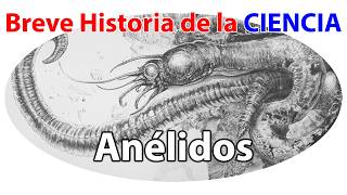 Anélidos Los Ingenieros Subterráneos del Mundo Natural  Breve Historia de la Ciencia [upl. by Silver722]