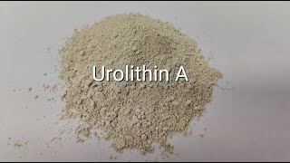 Urolithin A [upl. by Anabelle]