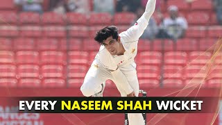 Every Naseem Shah Wicket in the 2022 Test Series vs Australia  PCB [upl. by Aerdnak]