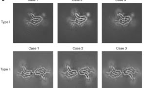 CryoEM Helical Reconstruction in Relion  Corticobasal degeneration  Empiar10340 Part1 [upl. by Enelehs]