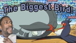 THAT BIRD IS STRONG  Ash Vs Tyson AMV  Pokemon Ruby amp Sapphire Reaction [upl. by Ariajaj918]