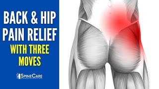 3 Moves for Instant Lower Back and Hip Pain Relief [upl. by Stempien578]