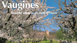 【南フランスの田舎・ヴォジーヌVaugines】南仏リュベロンの村で桜を楽しむ村歩きガイドブックに載らない街フランスフランスの美しい村プロヴァンス [upl. by Neufer]