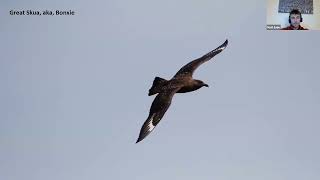 Naturetrek Roadshow Shetland [upl. by Illyes]