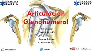 Anatomía  Articulación Glenohumeral Ligamentos Cápsula Movimientos [upl. by Sall210]