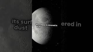 Moon Minute Quick Facts 🌕 facts starsofscience trendingnow [upl. by Rahcir]