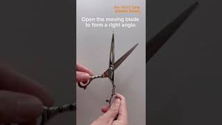 How to Properly Tighten YSPARK Scissors [upl. by Einaeg266]