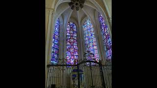 Visite de la cathédrale NotreDame de Chartres [upl. by Tosch]