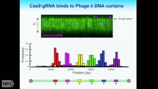 CRISPRCas genome surveillance From basic biology to transformative technology [upl. by Allene]