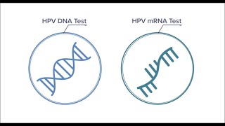 Know your mRNA from your DNA [upl. by Malsi]