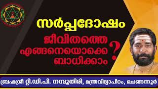 Sarpa dosha  സർപ്പദോഷം ജീവിതത്തെ എങ്ങനെയൊക്കെ ബാധിക്കാം [upl. by Eissirc739]