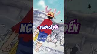 Mối quan hệ giữa Luffy và băng hải tặc Roger anime onepiece luffy [upl. by Lynsey]