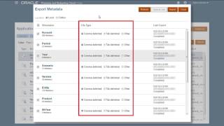 Exporting Metadata in Oracle Planning and Budgeting Cloud [upl. by Ahseid274]