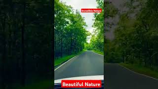 Shreya Ghoshal Hindi Song  naturerelaxation shreyaghoshal anantambani arijitsingh terehawaale [upl. by Bonner]