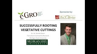 Successfully Rooting Vegetative Cuttings [upl. by Onitnas]