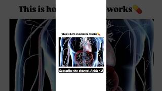 How medicine Digest amp Work ytshorts shortvideo medicines digestivesystem [upl. by Mcgill]