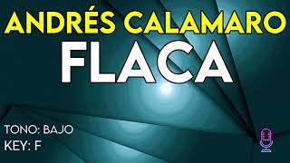 Andrés Calamaro  Flaca  Karaoke Instrumental  Bajo [upl. by Nyrol221]