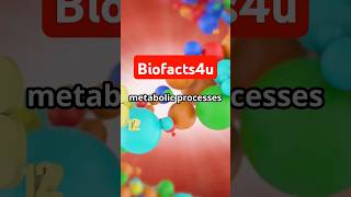 Nutrients  Part 5 Digestion science facts biology metabolism food [upl. by Ylicis]