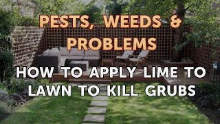 How to Apply Lime to Lawn to Kill Grubs [upl. by Syck159]